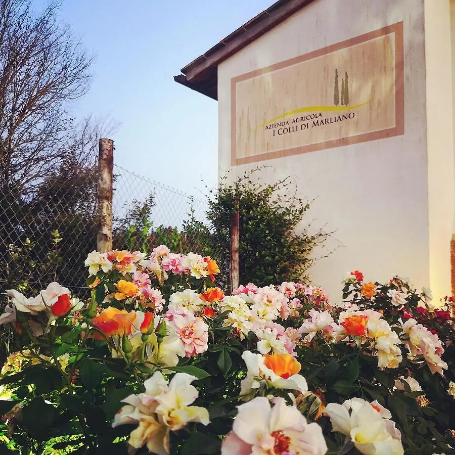 Azienda Agricola I Colli Di Marliano Lastra a Signa Italy