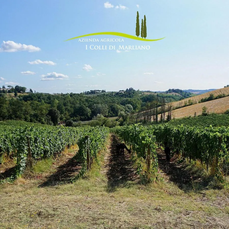 Azienda Agricola I Colli Di Marliano Lastra a Signa 0*,  Italy