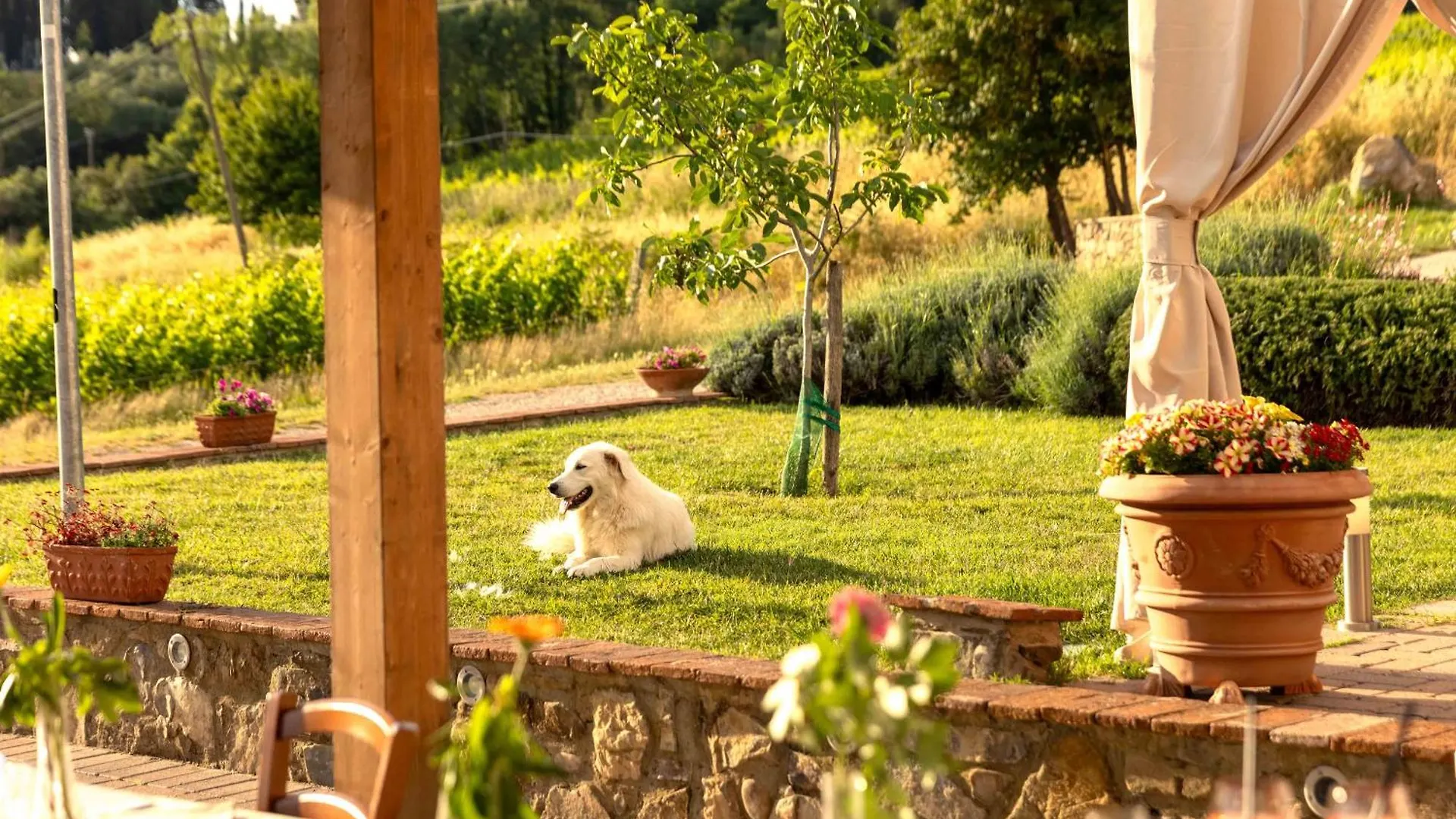 Farm stay Azienda Agricola I Colli Di Marliano Lastra a Signa