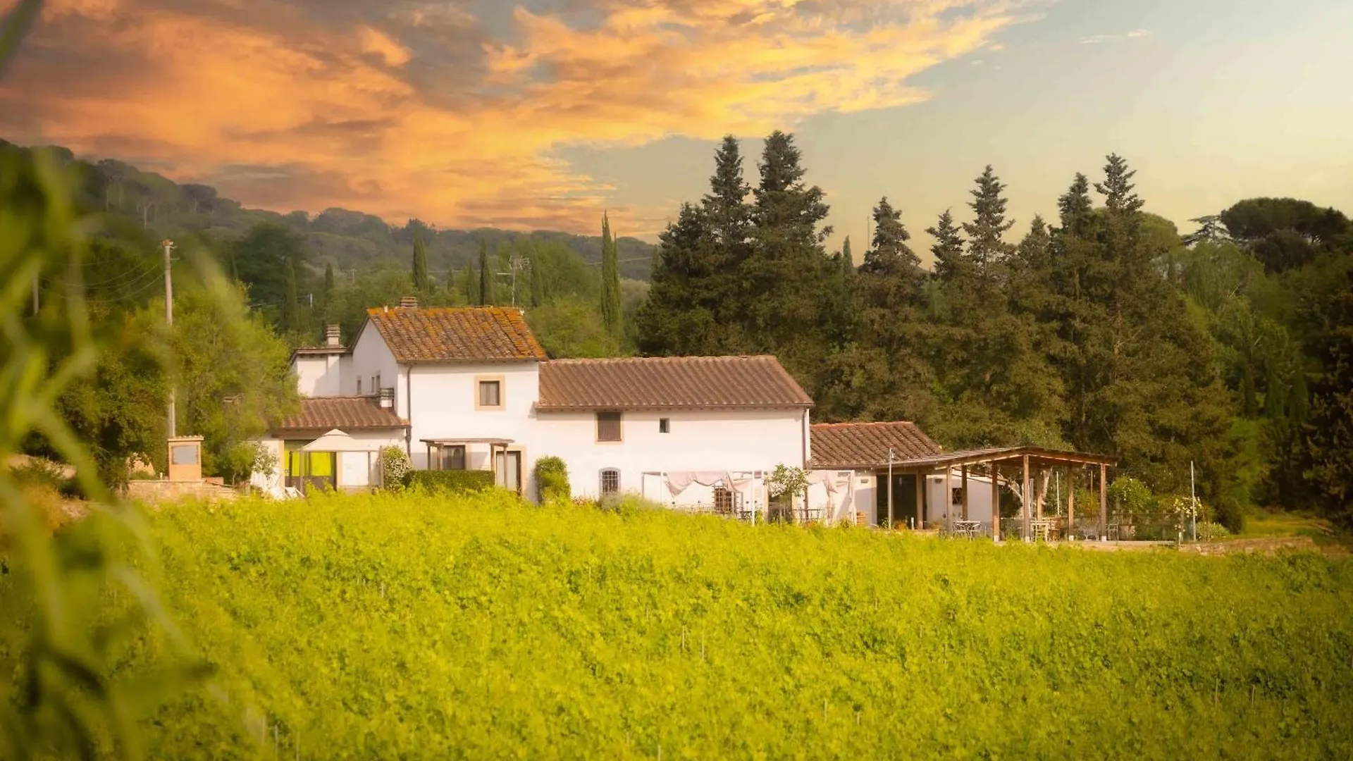 Azienda Agricola I Colli Di Marliano location